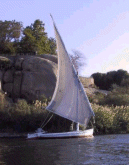 Felucca on the Nile